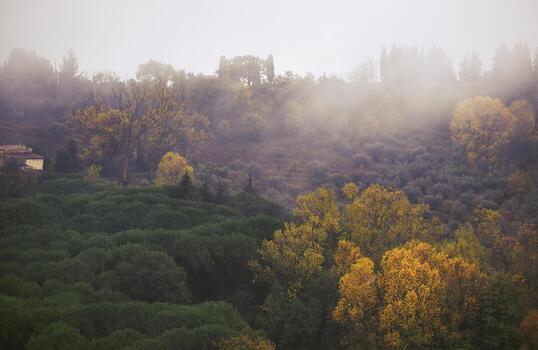 Hazy autumn landscape photo