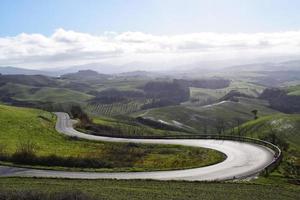 camino sinuoso a través del campo de hierba verde foto