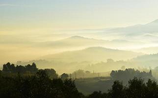 Aerial photography of hazy treelike with mountains photo