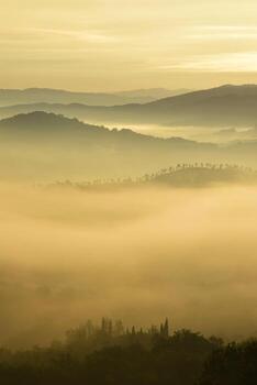 Trees and hill surrounded by fogs under hazy clouds photo