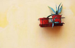 Aloe plants in red pots on yellow stucco wall photo