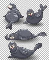 Set of seal cartoon vector