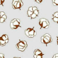 Cotton ball plant floral seamless pattern vector