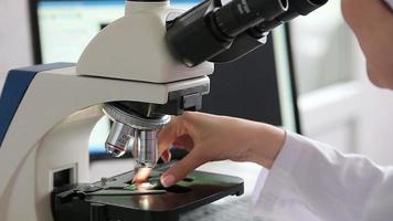 trabalho de laboratório de microbiologia com microscópio