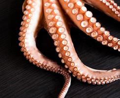 Tentacles of octopus photo