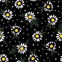 Abstract pattern with chamomile flowers vector