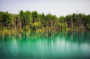 Blue Pond photo