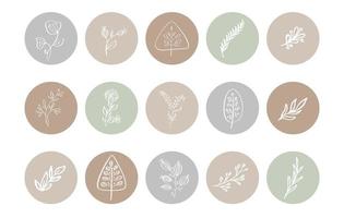 colección de iconos de hierbas botánicas resaltadas en colores pastel vector