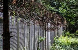 Barbed wire fence near wooded area photo