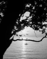 Grayscale of tree and people in boat photo