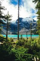 Lake near snowcapped mountains photo