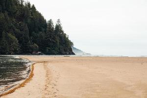 playa con niebla durante el día foto