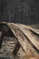 Brown wooden footbridge in the woods photo