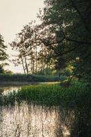 Nature lagoon under clear sky photo