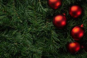 Red baubles on pine photo