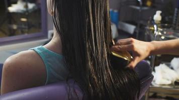 Hair Stock Video Footage for Free Download Hair Stock Video Footage for Free Download
