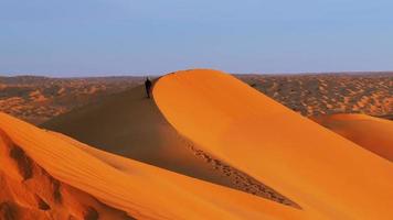 paysage typique du désert du sahara tôt le matin video