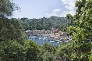 Bay of Portofino from a terrace photo