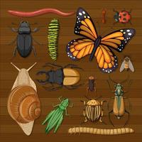 Conjunto de diferentes insectos sobre papel tapiz de madera vector