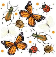 Set of different bugs and insects vector