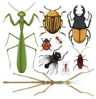 Set of bugs vector