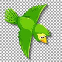 Green bird cartoon character vector