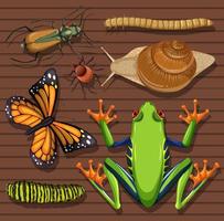 Set of different insects on wooden background vector