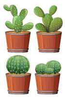 Set of cactus in a wooden pot vector