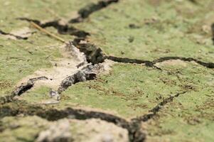 Dry soil close-up photo