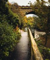 Green trees beside bridge photo