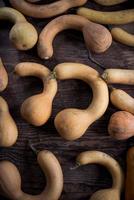 Butternut squash harvest photo