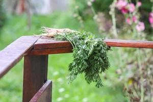 Carrots on railing photo