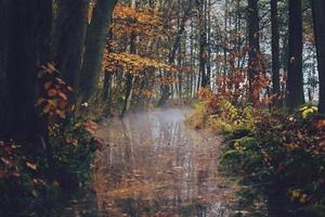 Autumn scene featuring a creek photo