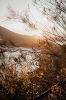 Golden hour in Shoal Bay photo