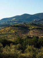 Italian country side photo