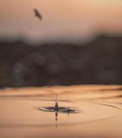 gota de agua y puesta de sol foto