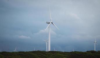 Tunisia, North Africa, 2020 - Wind turbine field on cloudy day photo