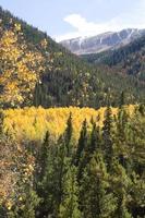 Mt. Elbert & Autumn Colors