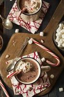 Homemade Peppermint Hot Chocolate photo