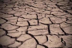 Cracks of Drought photo