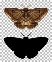Moth and its silhouette isolated vector