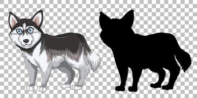 Cute siberian husky and its silhouette vector