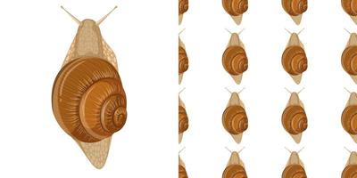 Snail isolated on white background and seamless vector