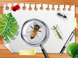 Different insects on the table close up vector