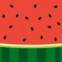 Watermelon slice background with seed and skin texture vector