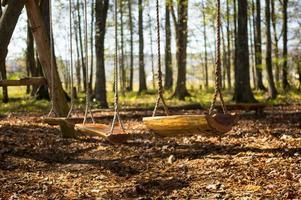 Swingset in the woods photo