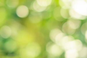 Blurred natural bokeh background photo