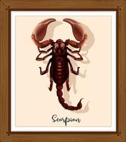 Scorpion in wooden frame vector