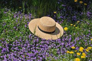 Amish straw hat at spring time