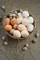 Various eggs photo